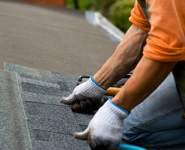 Best Roof Gutter Cleaning  in Seattle, WA